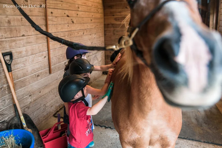 Three children in riding helmets grooming a chestnut horse in a Flintrock barn stall