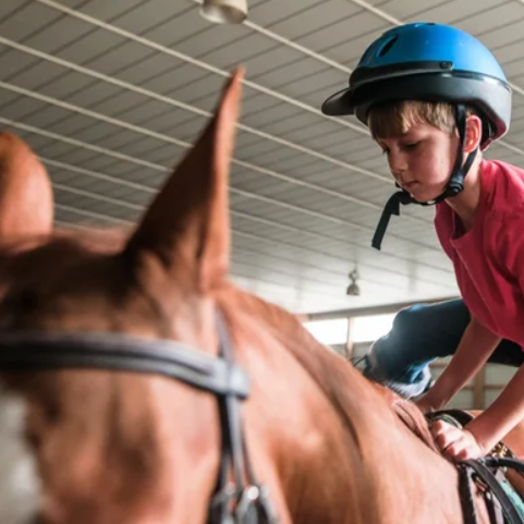 Young rider in a blue helmet on a chestnut horse in the Flintrock indoor arena