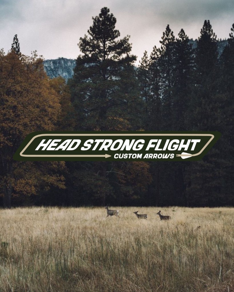 head strong flight visual 3