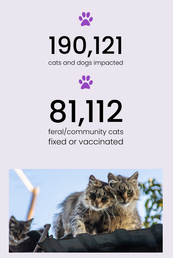 no nonsense neutering visual 2