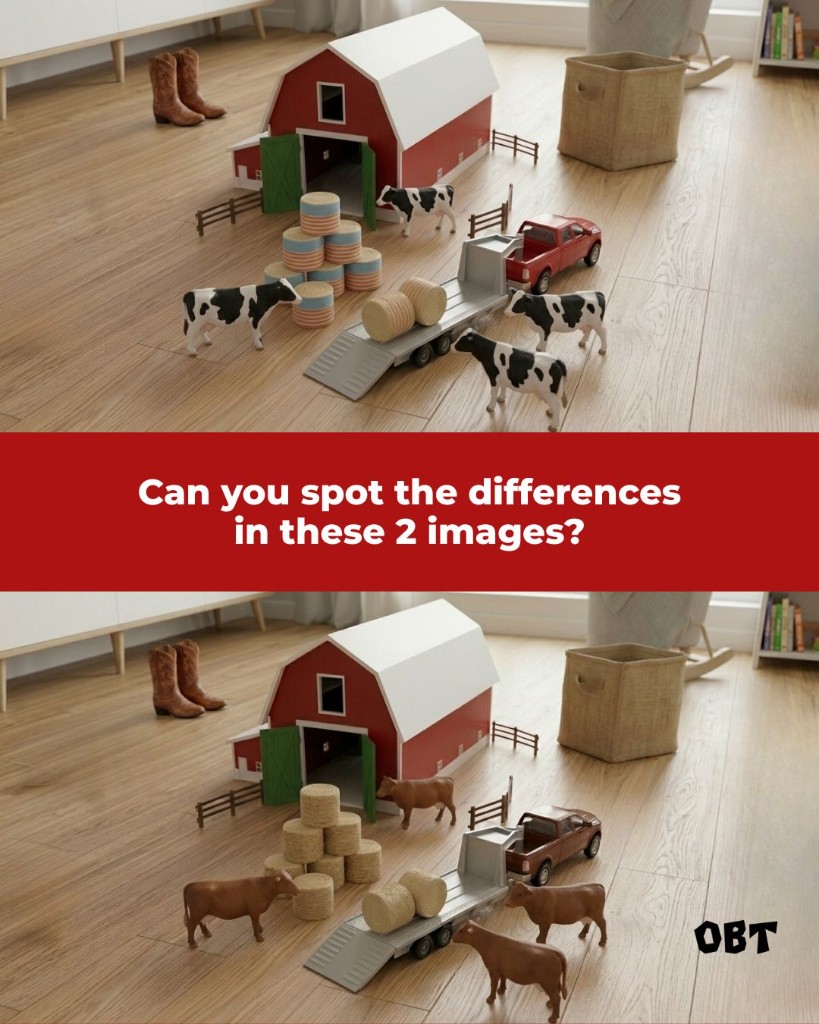 outback toys visual 5