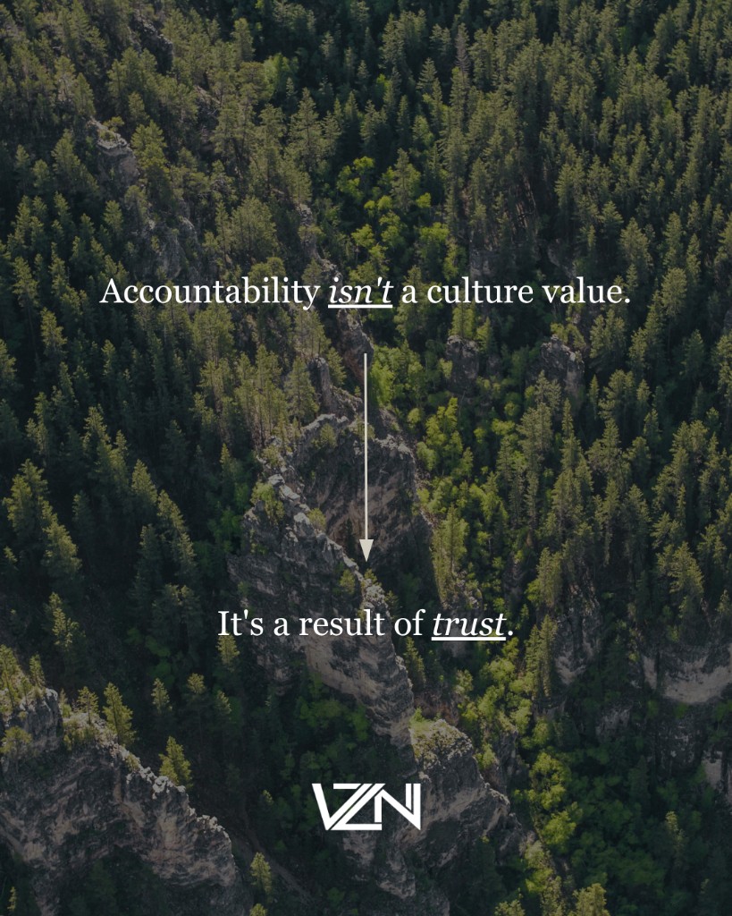 Vizion social graphic: Accountability is not a culture value, it is a result of trust, over an aerial forest